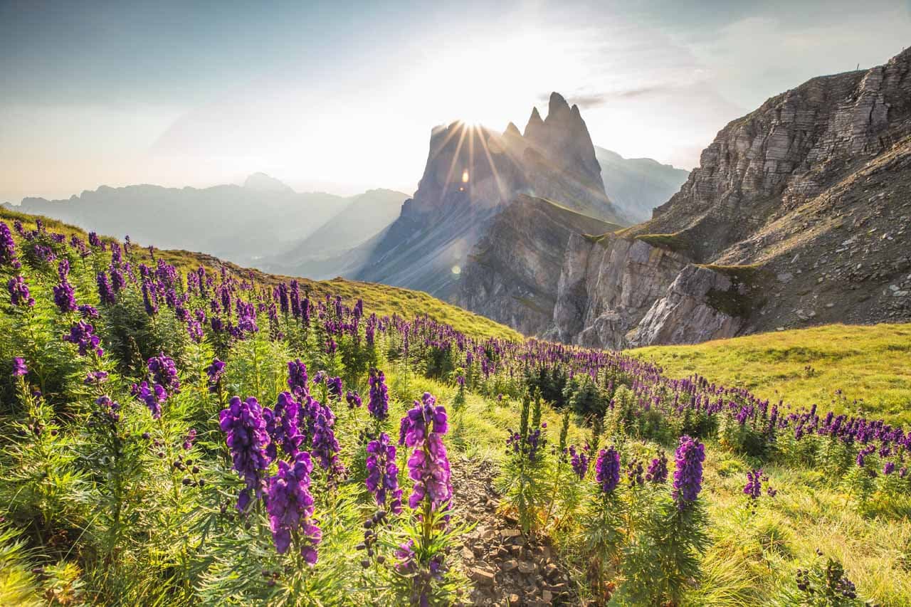 Summer in the Dolomites